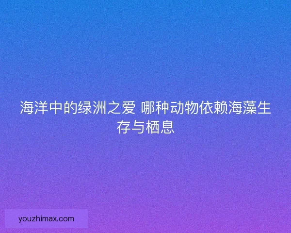 海洋中的绿洲之爱 哪种动物依赖海藻生存与栖息